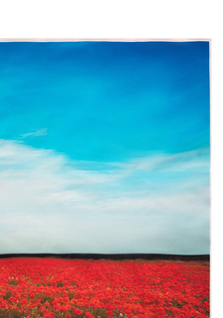 Декор для забора шир.  750, рис. 7