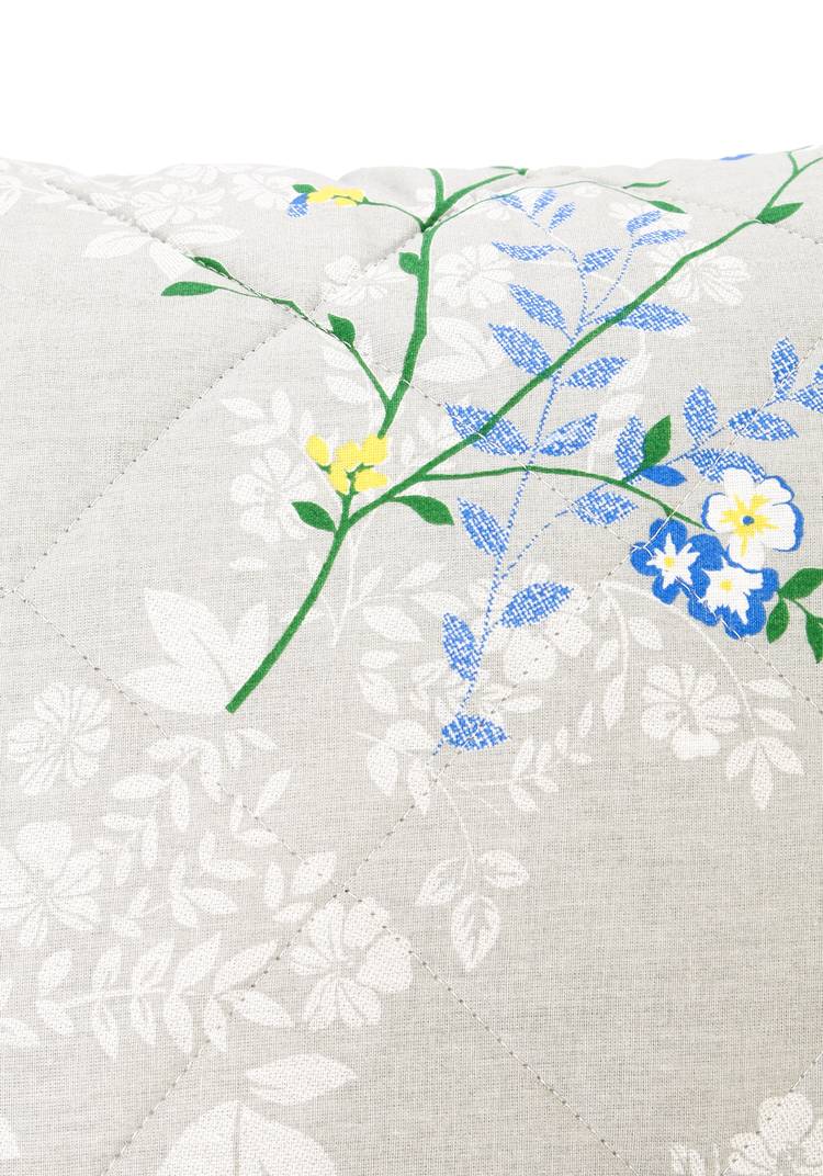 Лён обыкновенный долгунец. Лен сухоцвет. Лен масличный. Со льном. Лен долгунец.