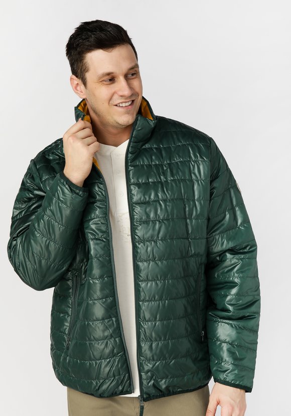 Куртка cтеганая Атлас шир.  580, рис. 1