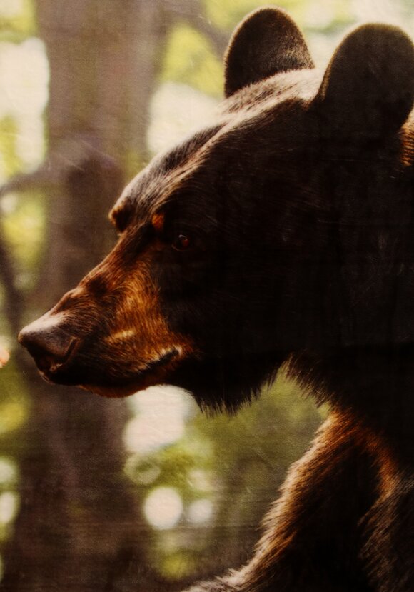 Плед-покрывало с принтом шир.  580, рис. 5