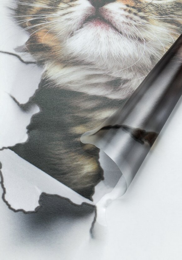 Наклейка интерьерная 3D Милая киса, 4 шт. шир.  580, рис. 4