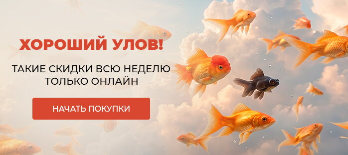Снизили цену только на сайте (Хороший улов!) акции