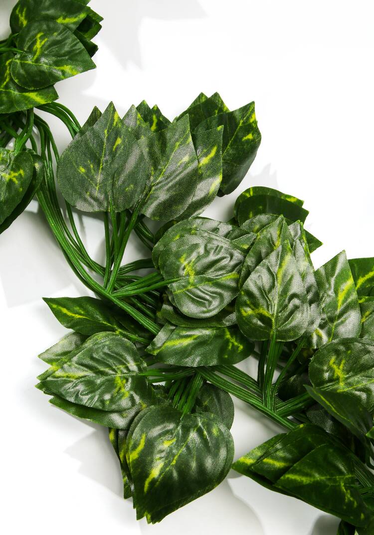 Растение вьющееся для декора шир.  750, рис. 4