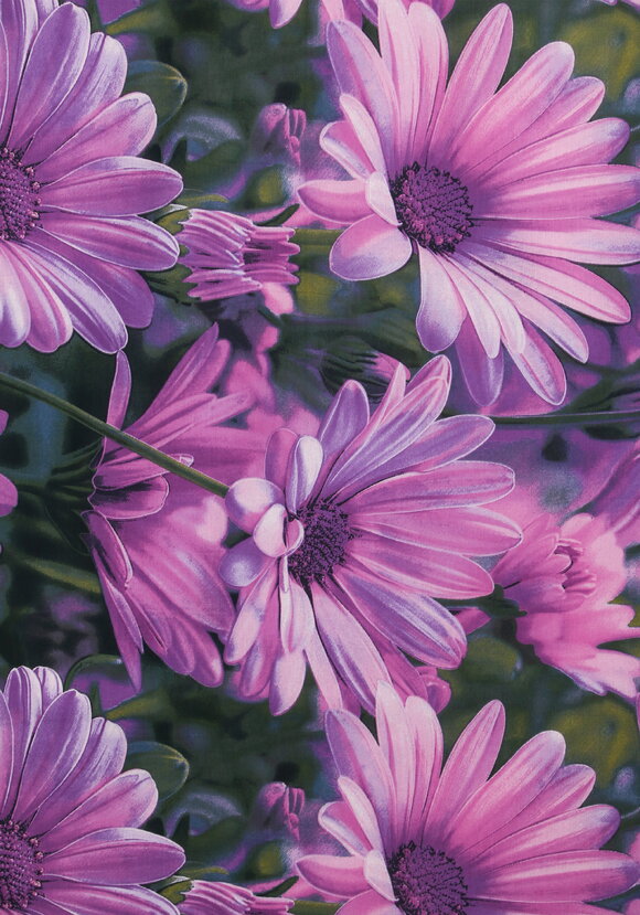 КПБ поплин Яркие моменты шир.  580, рис. 24