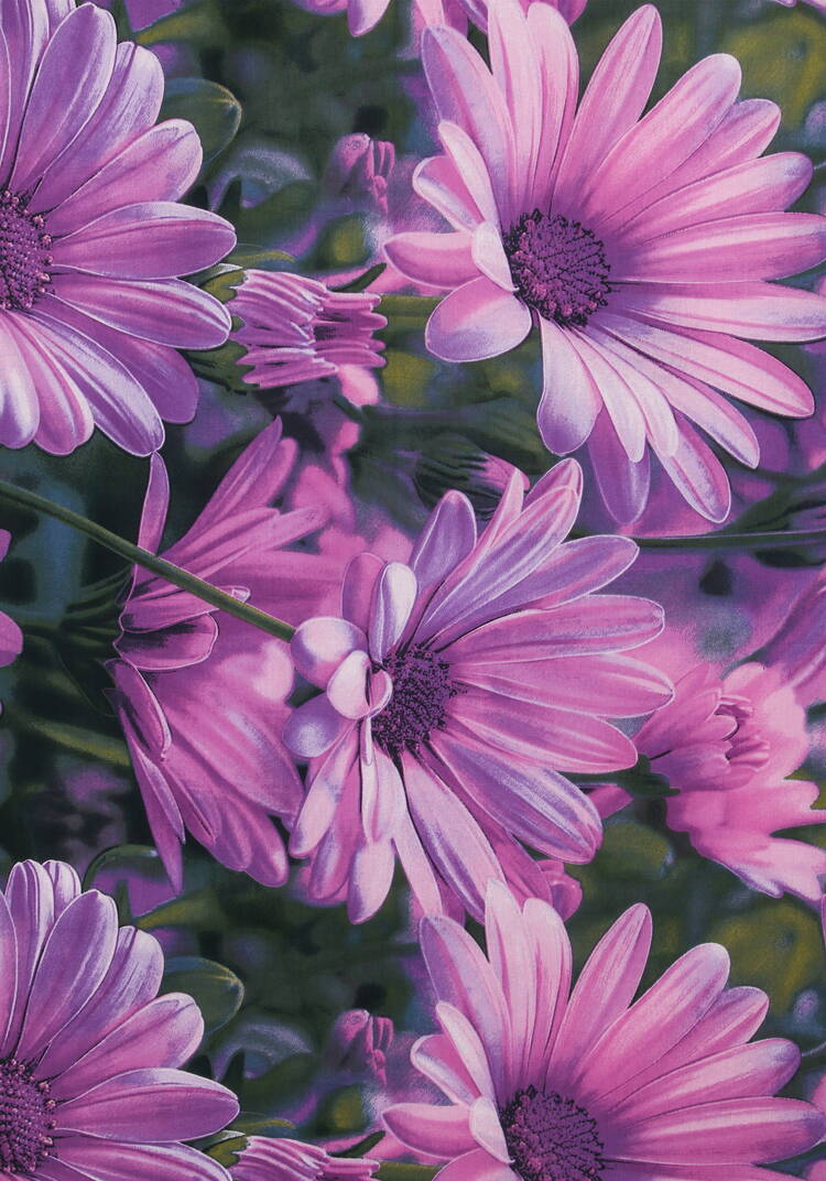 КПБ поплин Яркие моменты шир.  750, рис. 24