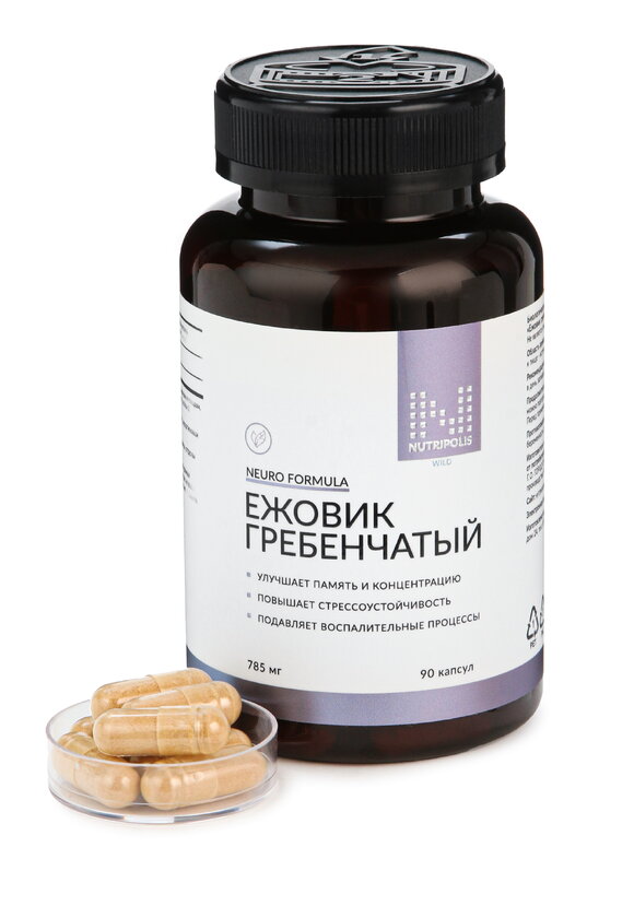 Ежовик для мозговой активости, 2 шт. шир.  580, рис. 4