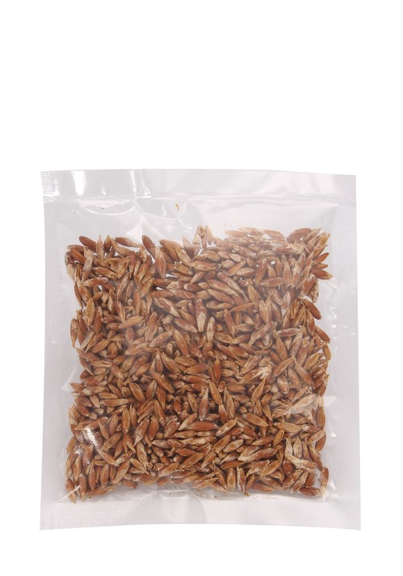 Домашняя грибная ферма Шампиньоны шир.  580, рис. 3