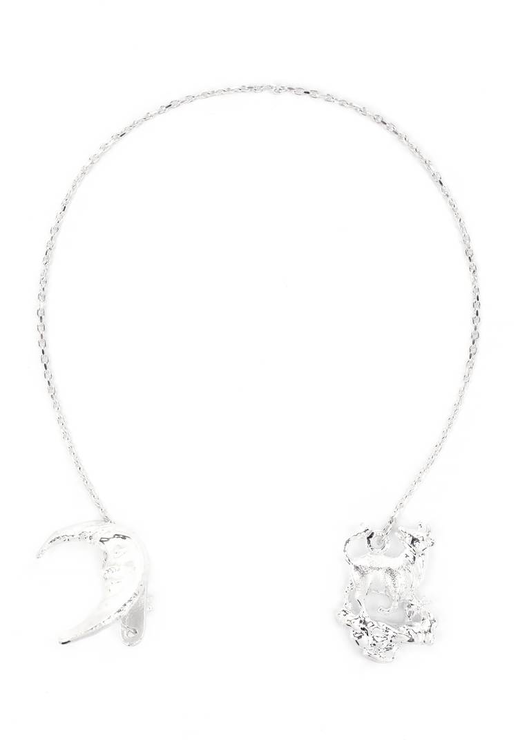 Серебряный ионизатор воды Зодиак шир.  750, рис. 21