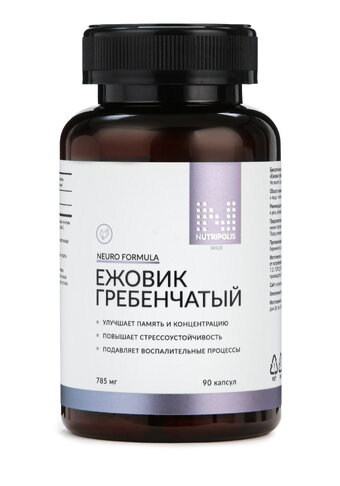 Ежовик гребенчатый для мозговой активности