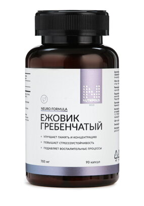 Ежовик гребенчатый для мозговой активности