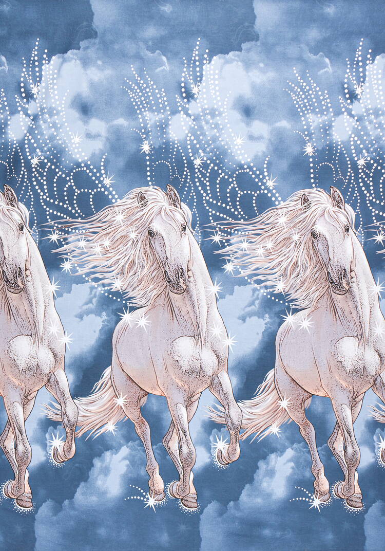 Пододеяльник бязь Пегас шир.  750, рис. 4