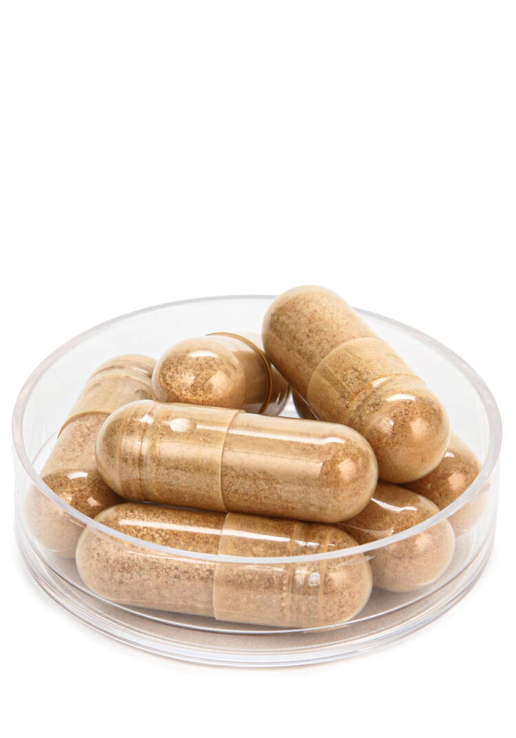 Ежовик гребенчатый для мозговой активности шир.  750, рис. 4