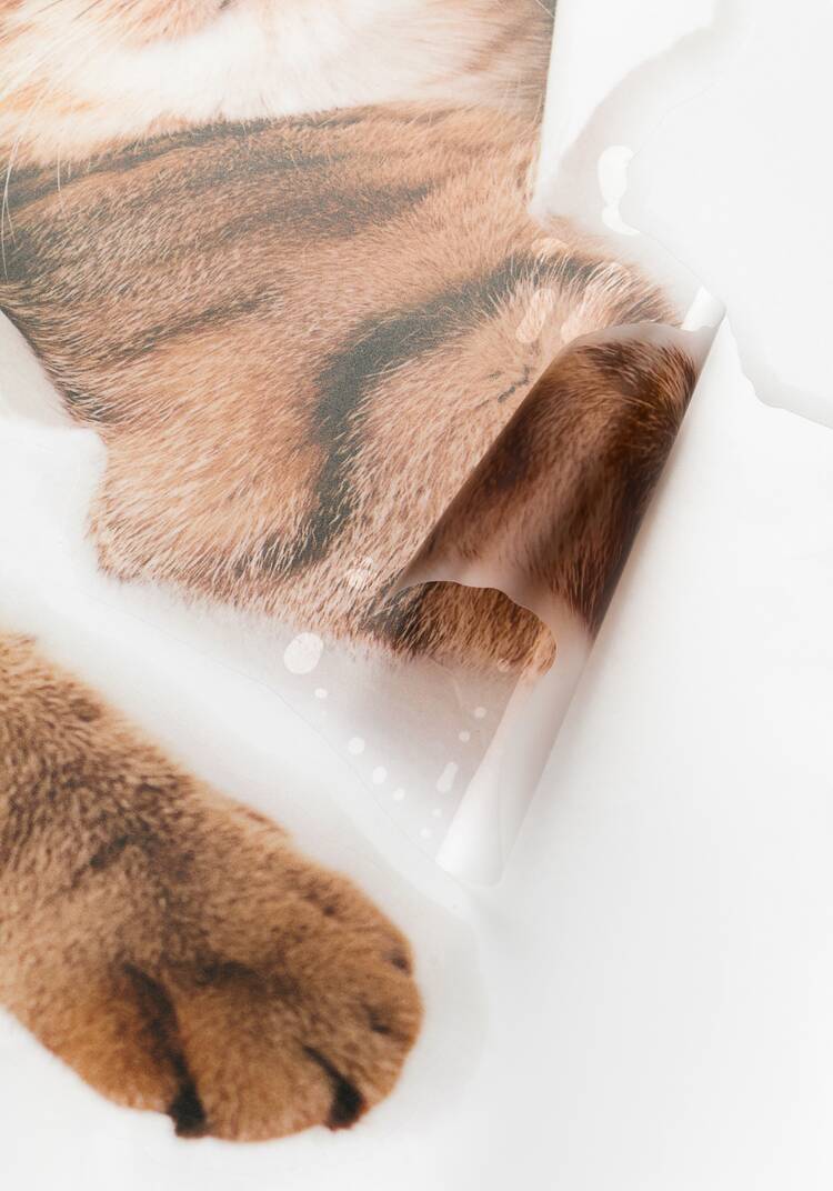 Наклейка интерьерная 3D Милая киса, 4 шт. шир.  750, рис. 10