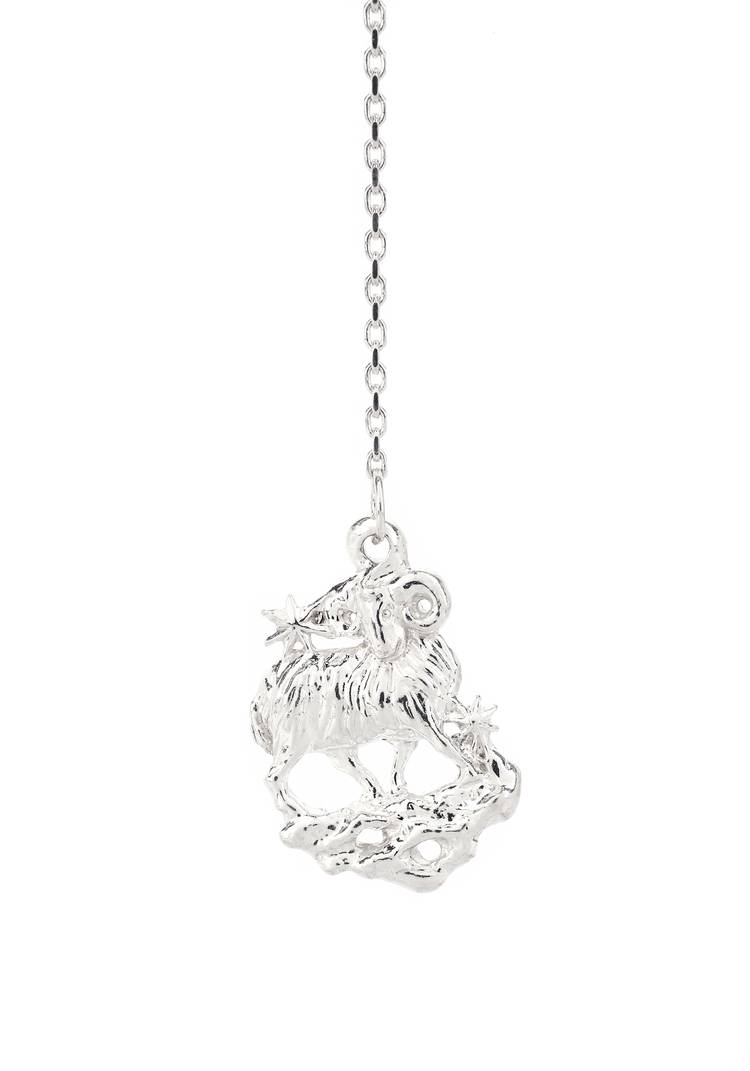 Серебряный ионизатор воды Зодиак шир.  750, рис. 12