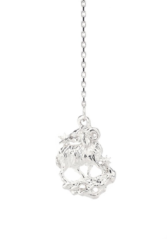 Серебряный ионизатор воды Зодиак шир.  580, рис. 12