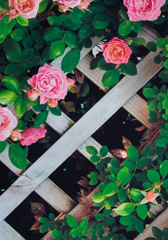 Декор для забора шир.  580, рис. 13