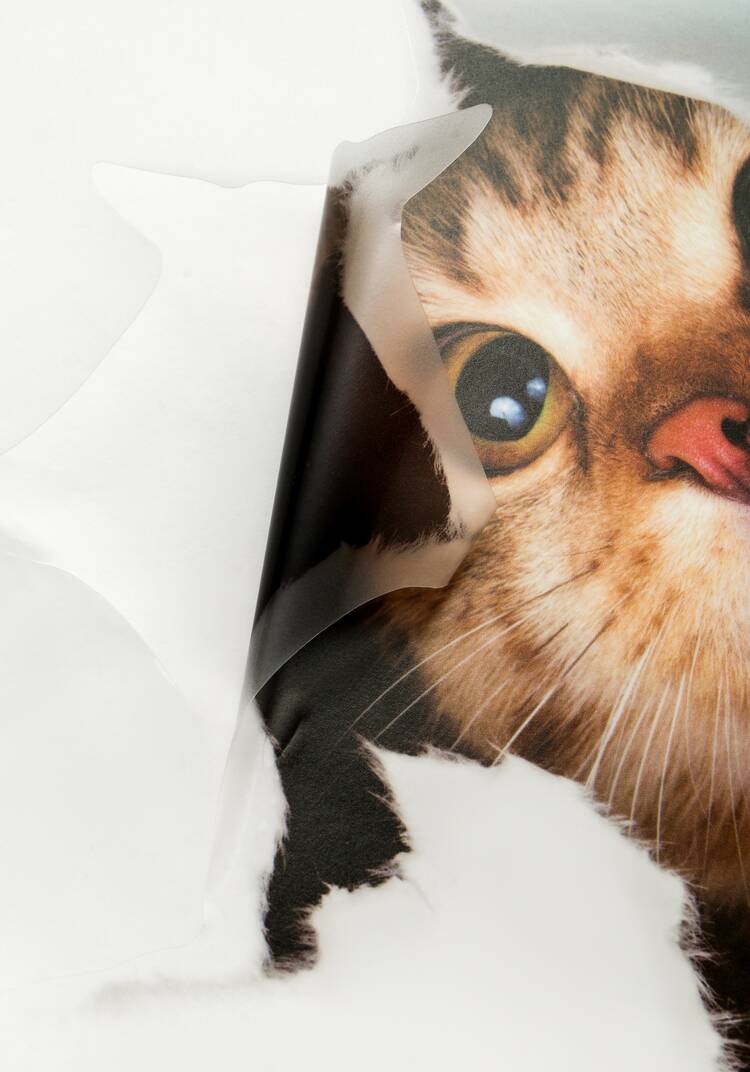 Наклейка интерьерная 3D Милая киса, 4 шт. шир.  750, рис. 13