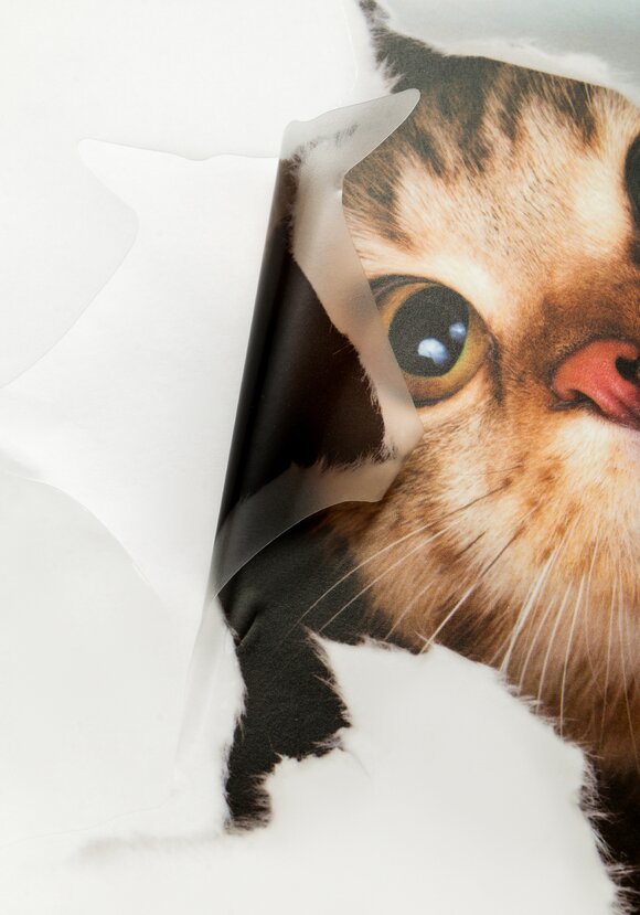 Наклейка интерьерная 3D Милая киса, 4 шт. шир.  580, рис. 13