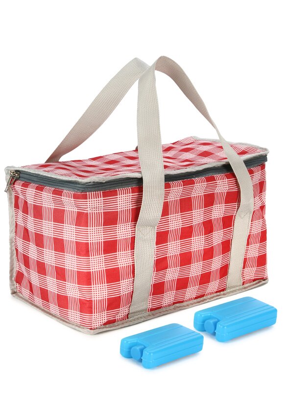 Сумка-термос, 14 л. + подарок шир.  580, рис. 11