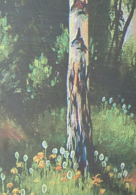 Комплект фотоштор Пейзажи шир.  580, рис. 3