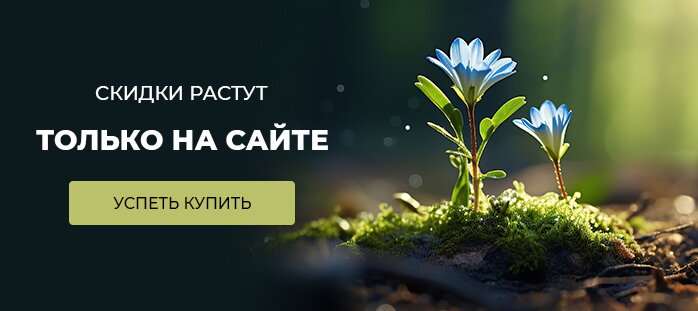 Снизили цену только на сайте (скидки растут) акции