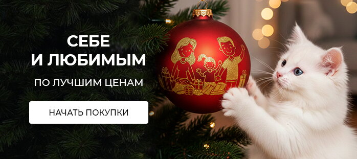 Снизили цену только на сайте акции (кот)