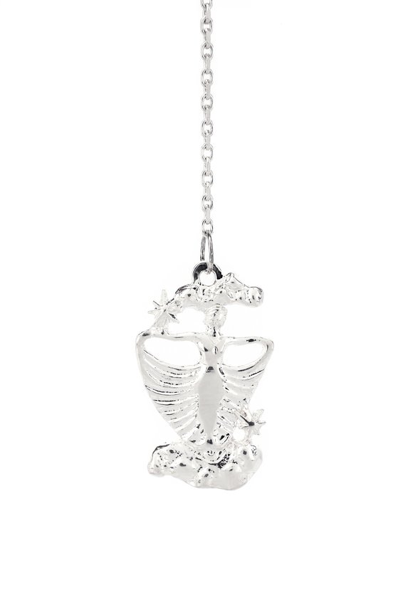 Серебряный ионизатор воды Зодиак шир.  580, рис. 8