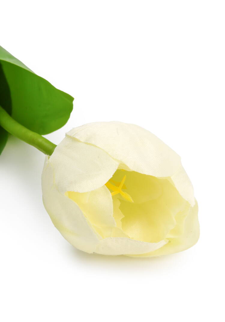 Букет тюльпанов, 9 шт. шир.  750, рис. 7