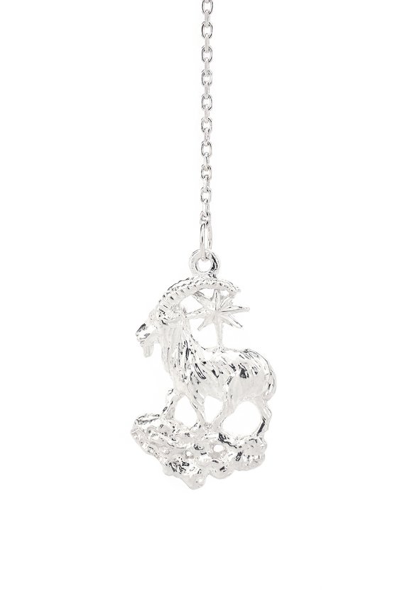 Серебряный ионизатор воды Зодиак шир.  580, рис. 10