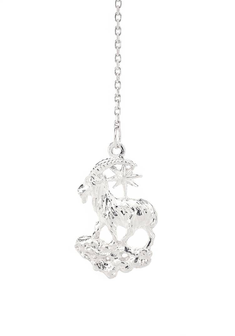 Серебряный ионизатор воды Зодиак шир.  750, рис. 10