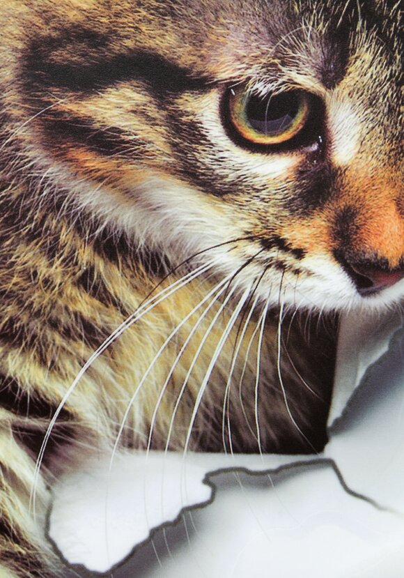 Наклейка интерьерная 3D Милая киса, 4 шт. шир.  580, рис. 6