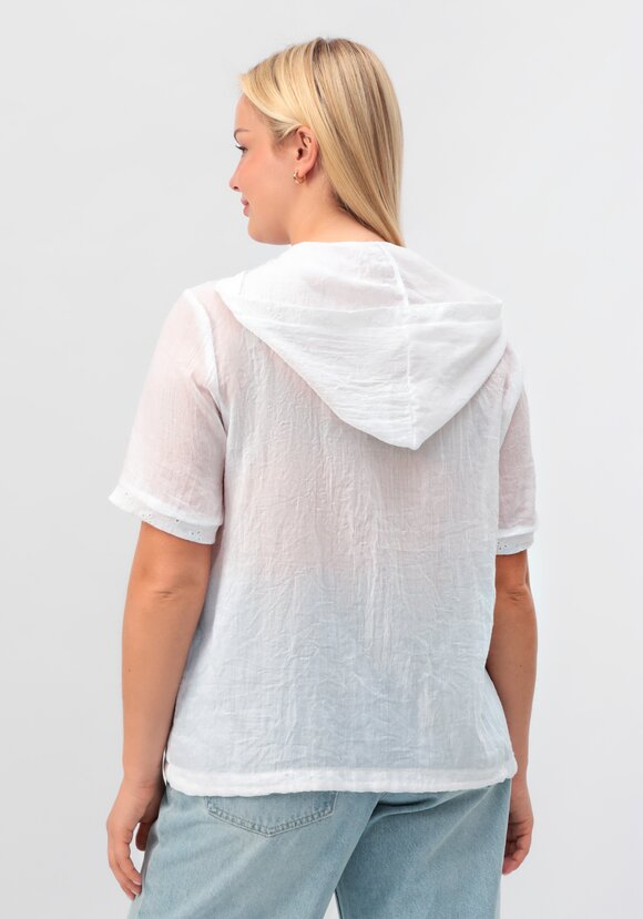 Пыльник Дафна шир.  580, рис. 3