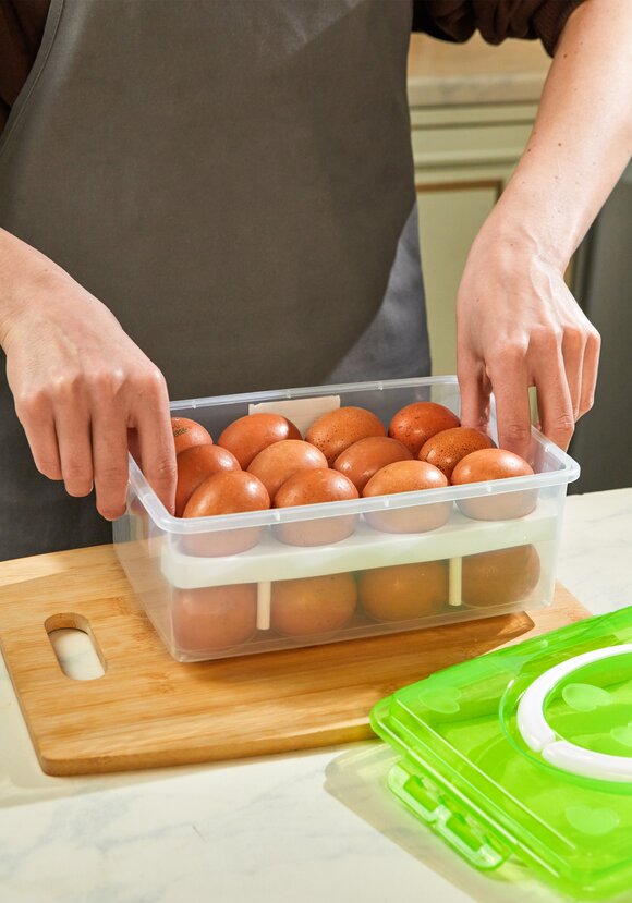 Контейнер для хранения и переноски яиц, 2 шт. шир.  580, рис. 9