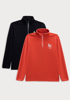 Комплект джемперов из флиса Алан 2 шт.