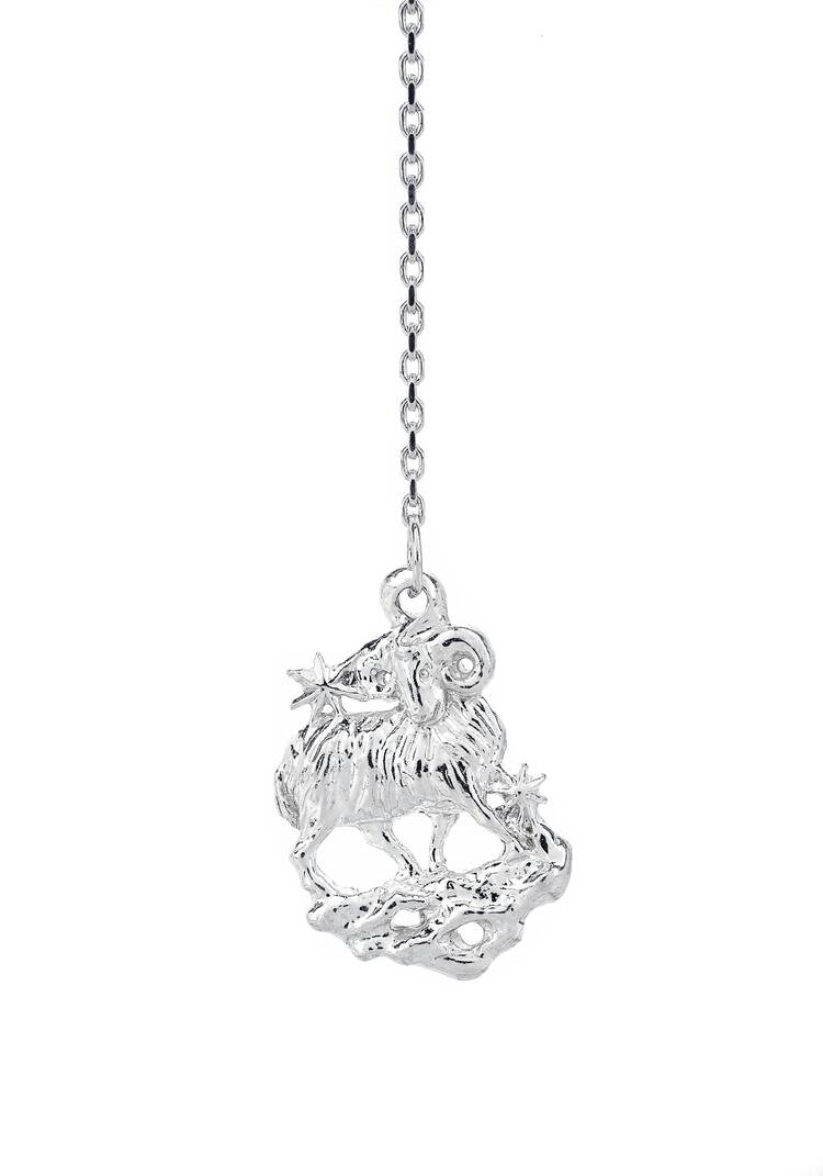 Серебряный ионизатор  воды Зодиак шир.  750, рис. 18