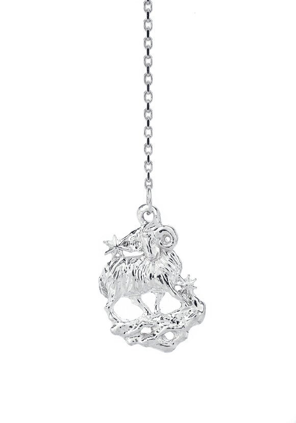 Серебряный ионизатор  воды Зодиак шир.  580, рис. 18