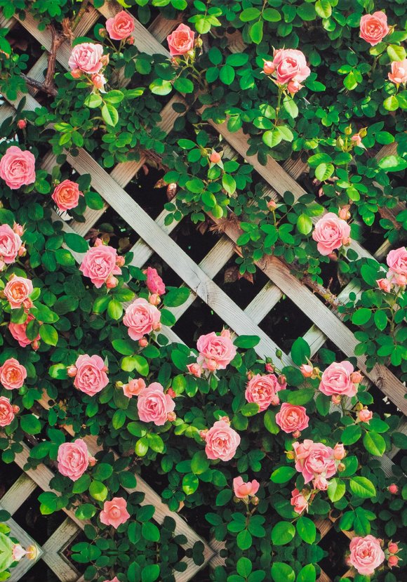 Декор для забора шир.  580, рис. 10