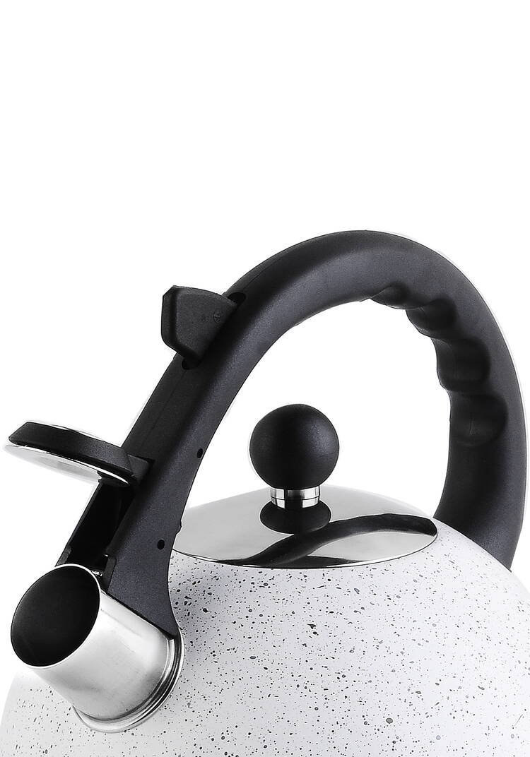 Чайник со свистком шир.  750, рис. 6