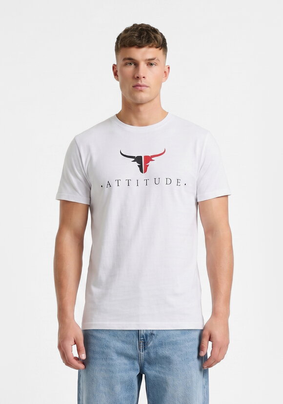 Футболка Мягкий акцент шир.  580, рис. 4