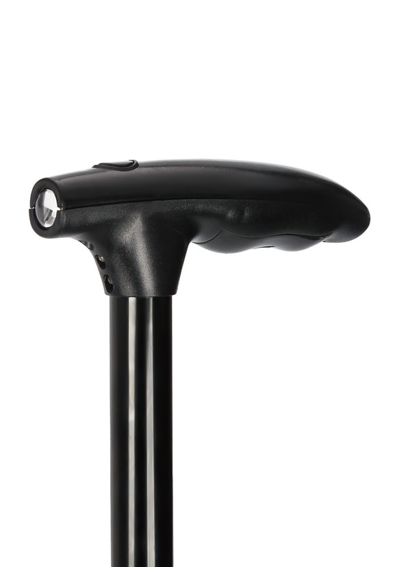 Чудо трость шир.  580, рис. 2