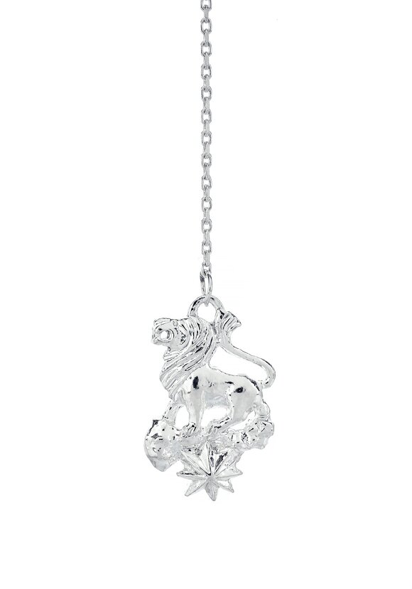 Серебряный ионизатор  воды Зодиак шир.  580, рис. 16