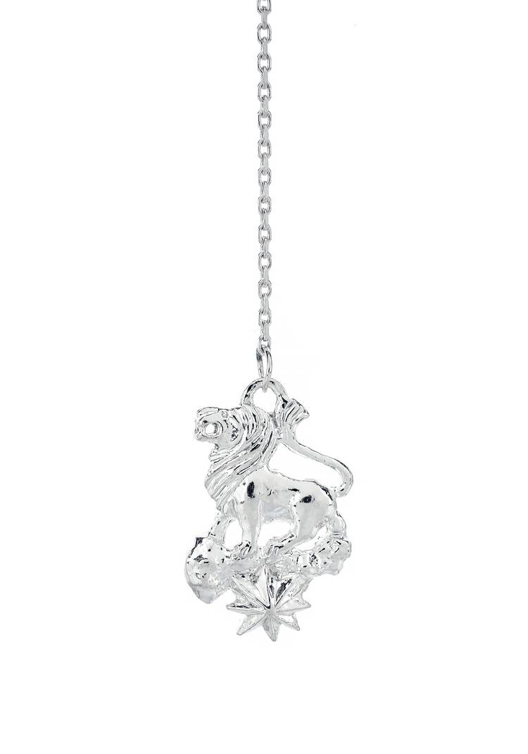 Серебряный ионизатор  воды Зодиак шир.  750, рис. 16