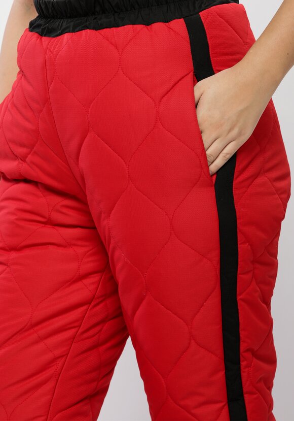 Брюки утепленные с лампасами шир.  580, рис. 10