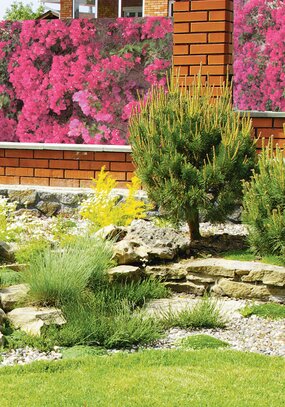 Садовый фотофасад Яркая жизнь