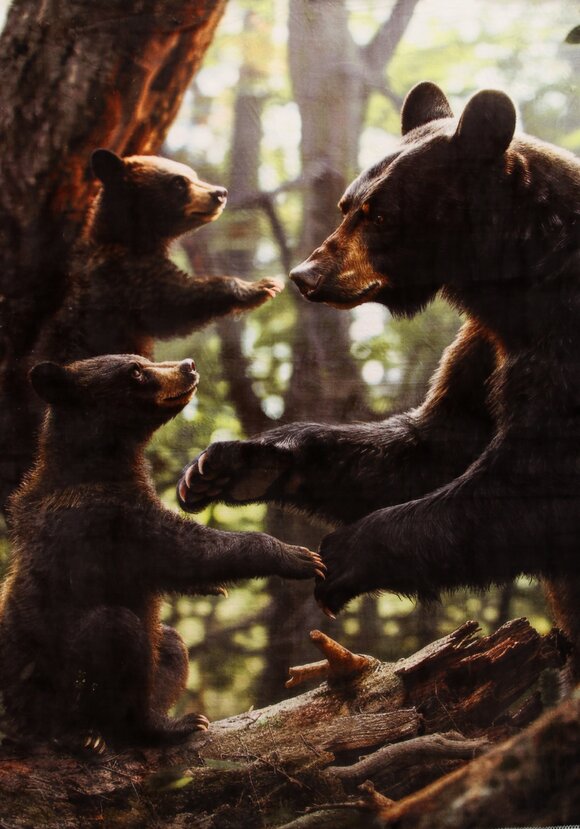 Плед-покрывало с принтом шир.  580, рис. 3