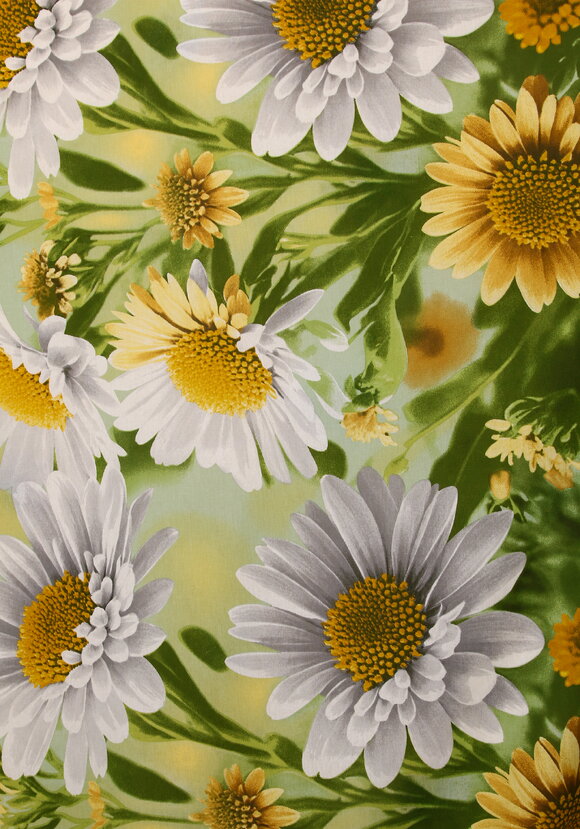 КПБ поплин Яркие моменты шир.  580, рис. 5