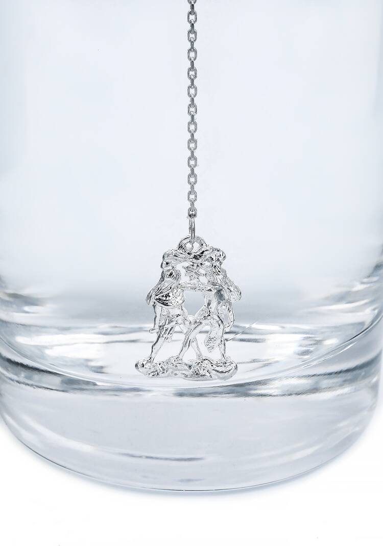 Серебряный ионизатор  воды Зодиак шир.  750, рис. 6