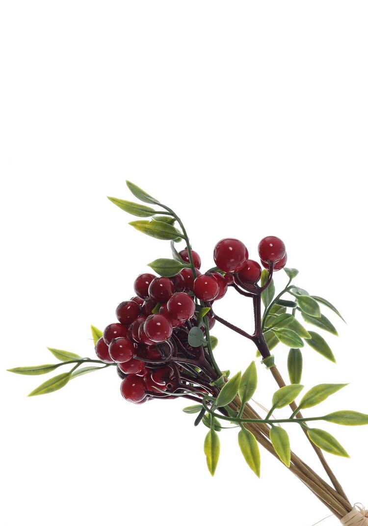 Ветка с ягодами шир.  750, рис. 1