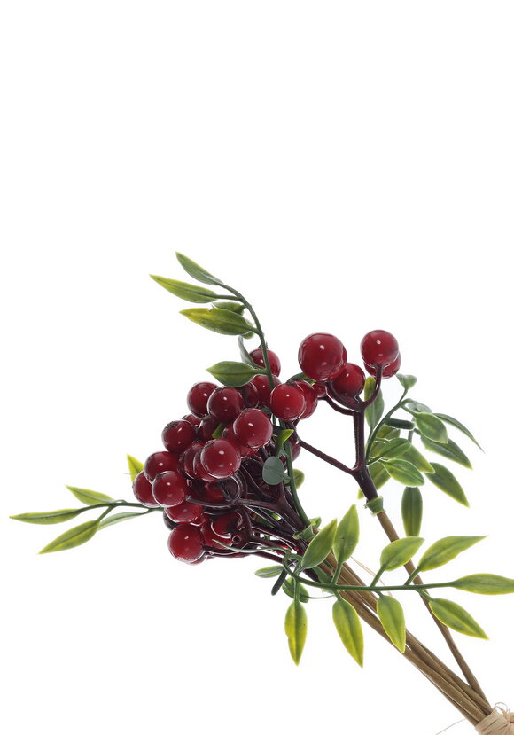 Ветка с ягодами шир.  580, рис. 1