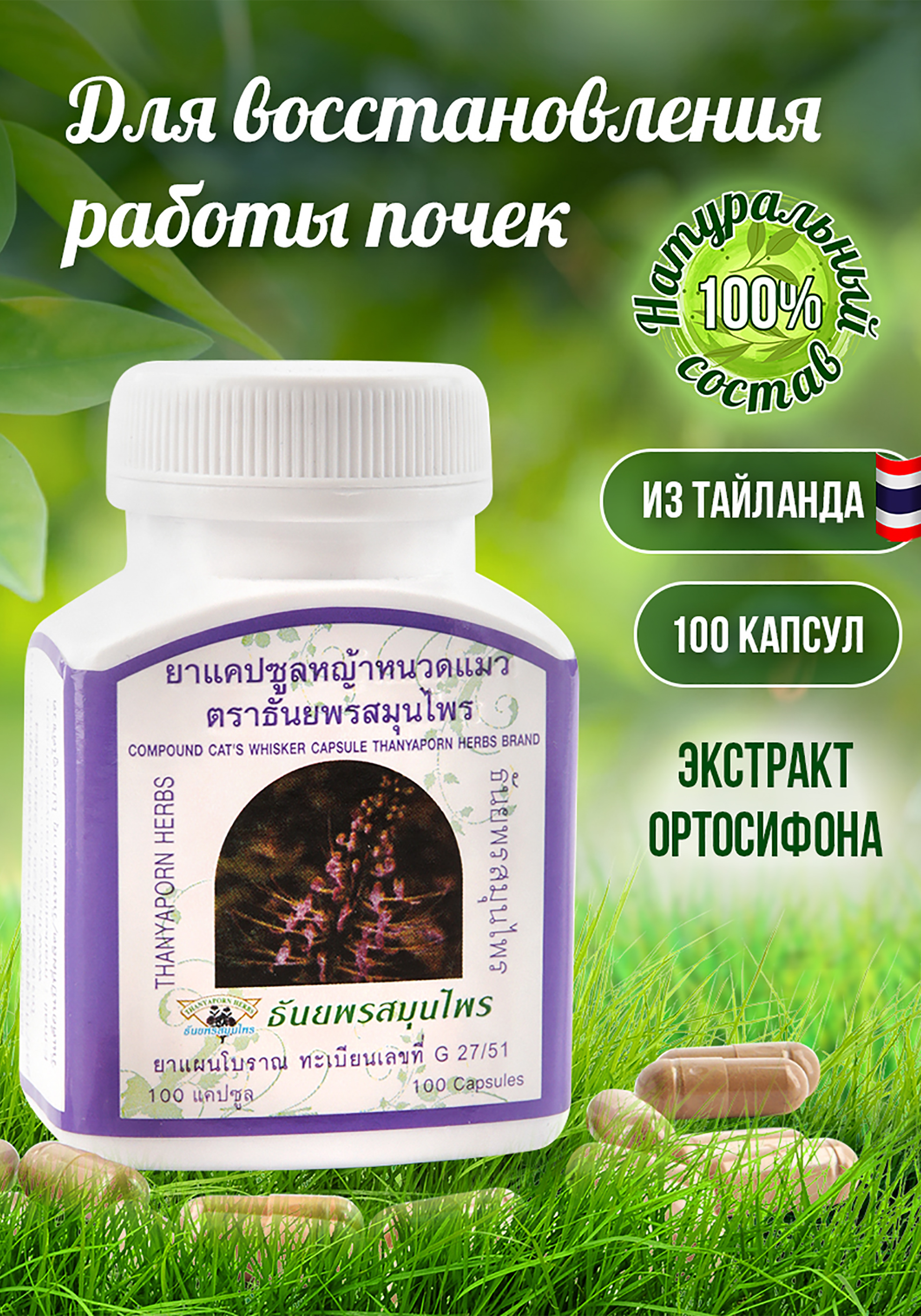 

Экстракт Ортосифона для почек